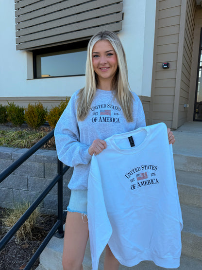 USA Embroidered Sweatshirt